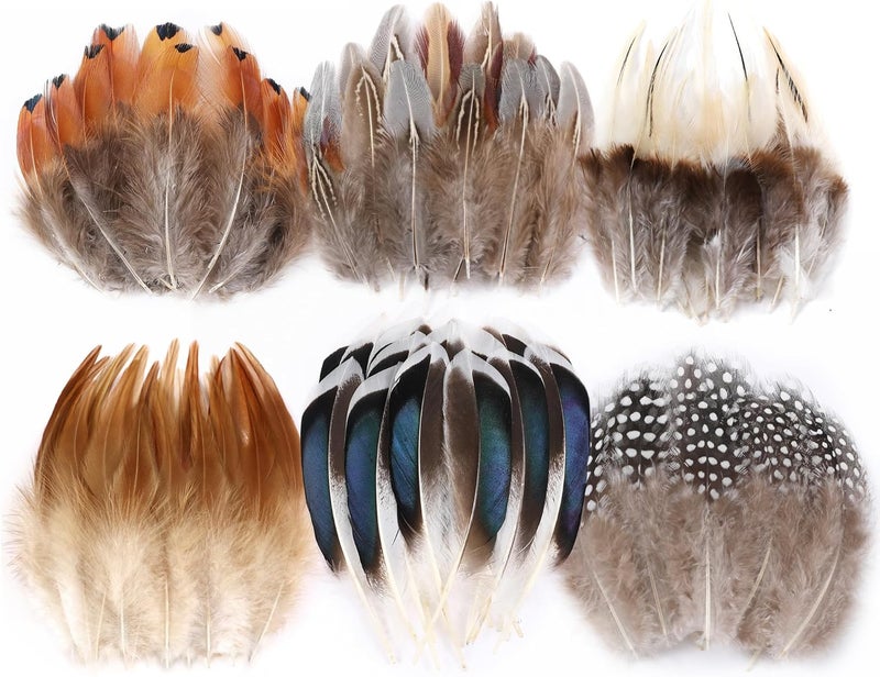 Larryhot Natural Pheasant Craft Feathers - 240 pcs 6 Style Mixed Feathers for Dream Catcher Supplies,Jewelry,Hats and Jewelry Accessories (Natural) - Image 1